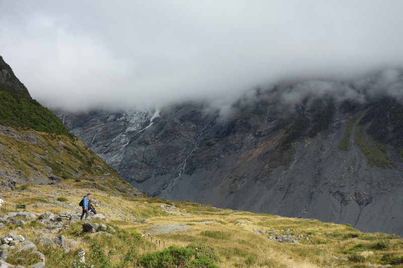 자연과 사람의 아름다운 공존 뉴질랜드 힐링여행