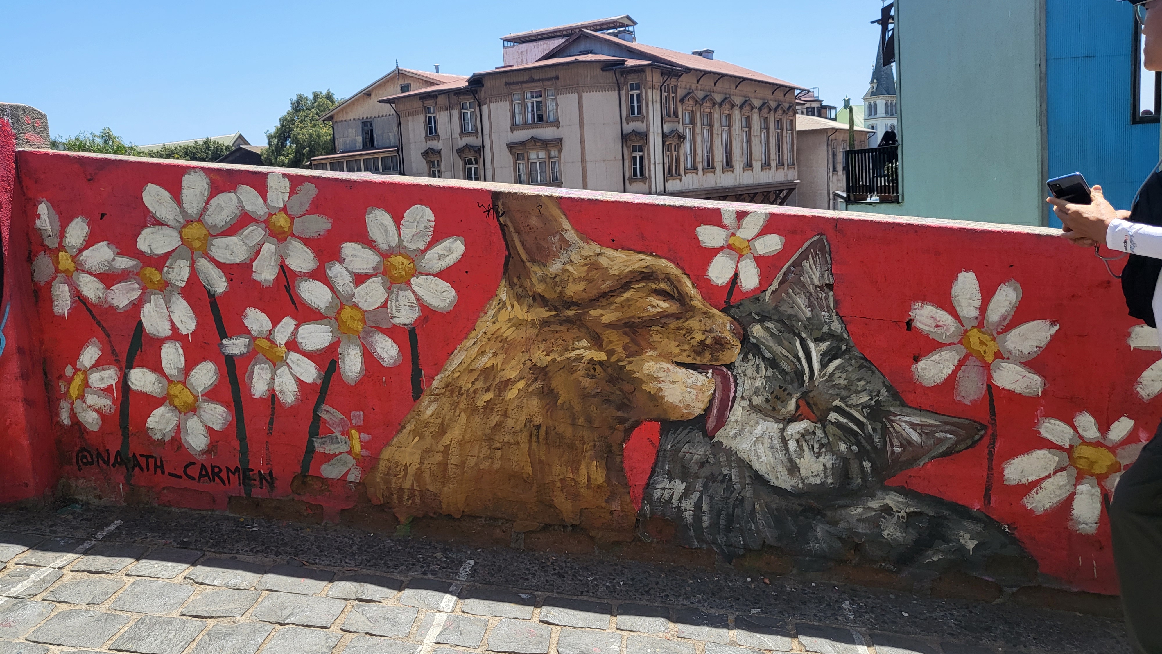 원본이미지(클릭)