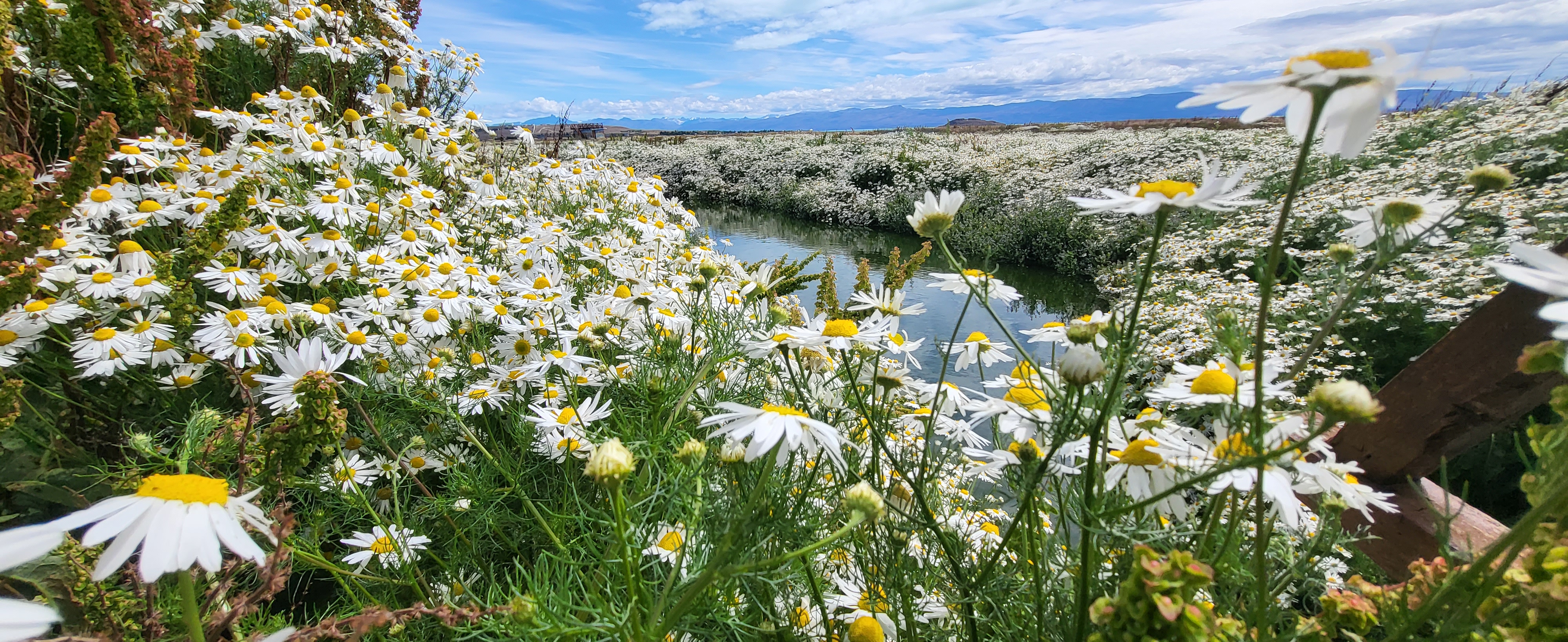 원본이미지(클릭)