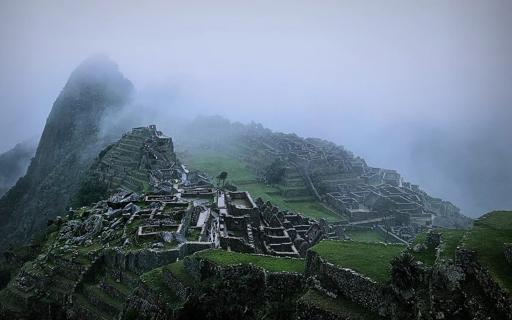 원본이미지(클릭)