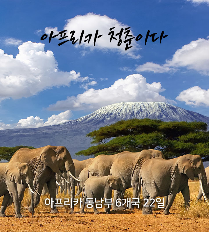 아프리카 청춘이다