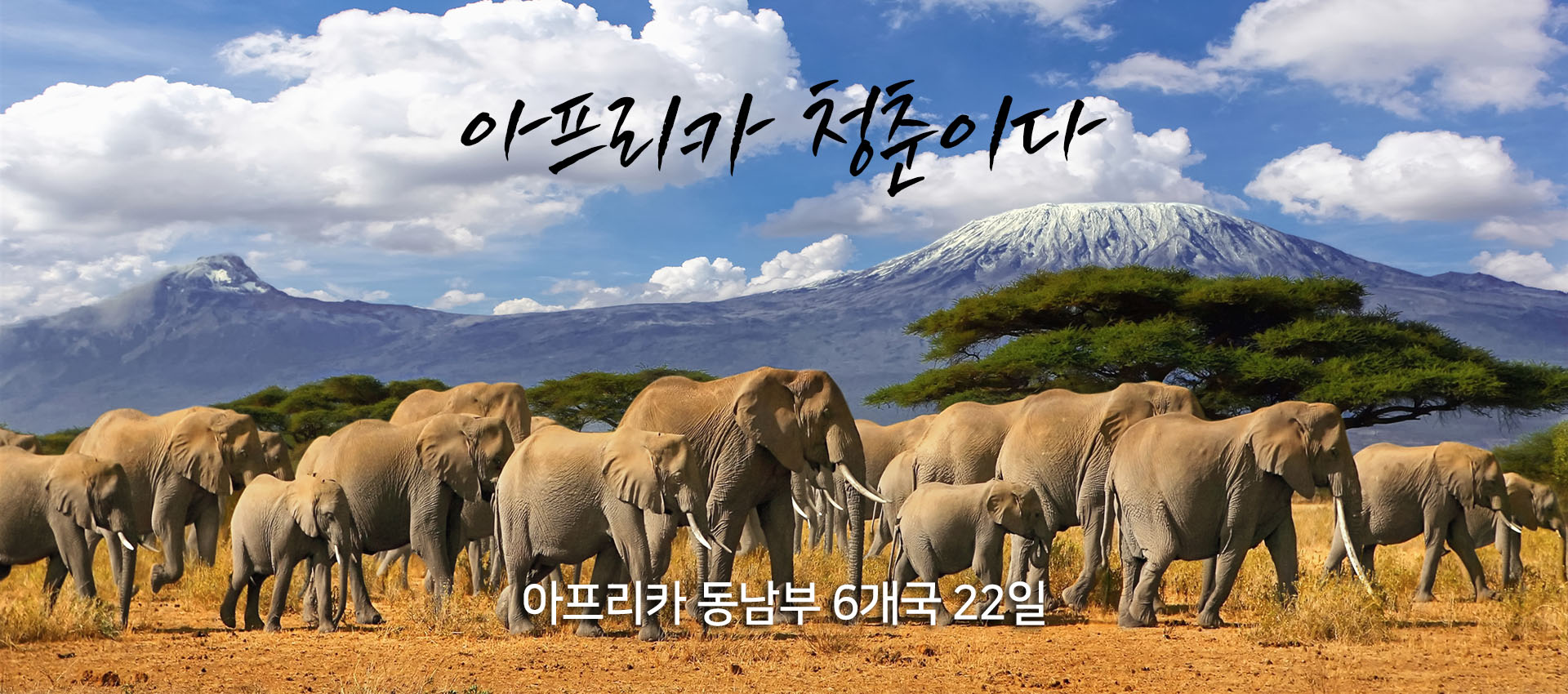 아프리카 청춘이다